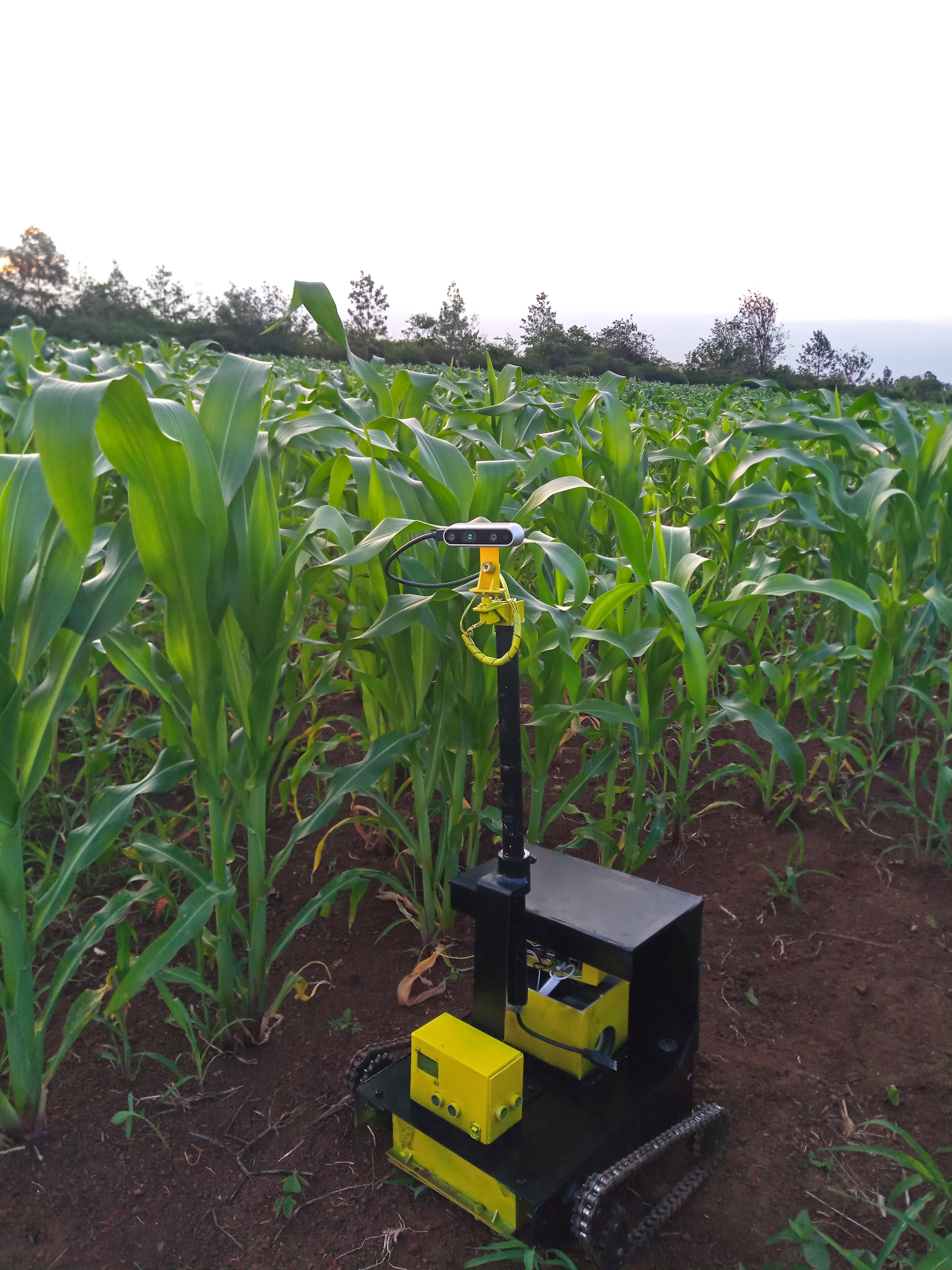 Row boundary positioning, wide-angle field overview